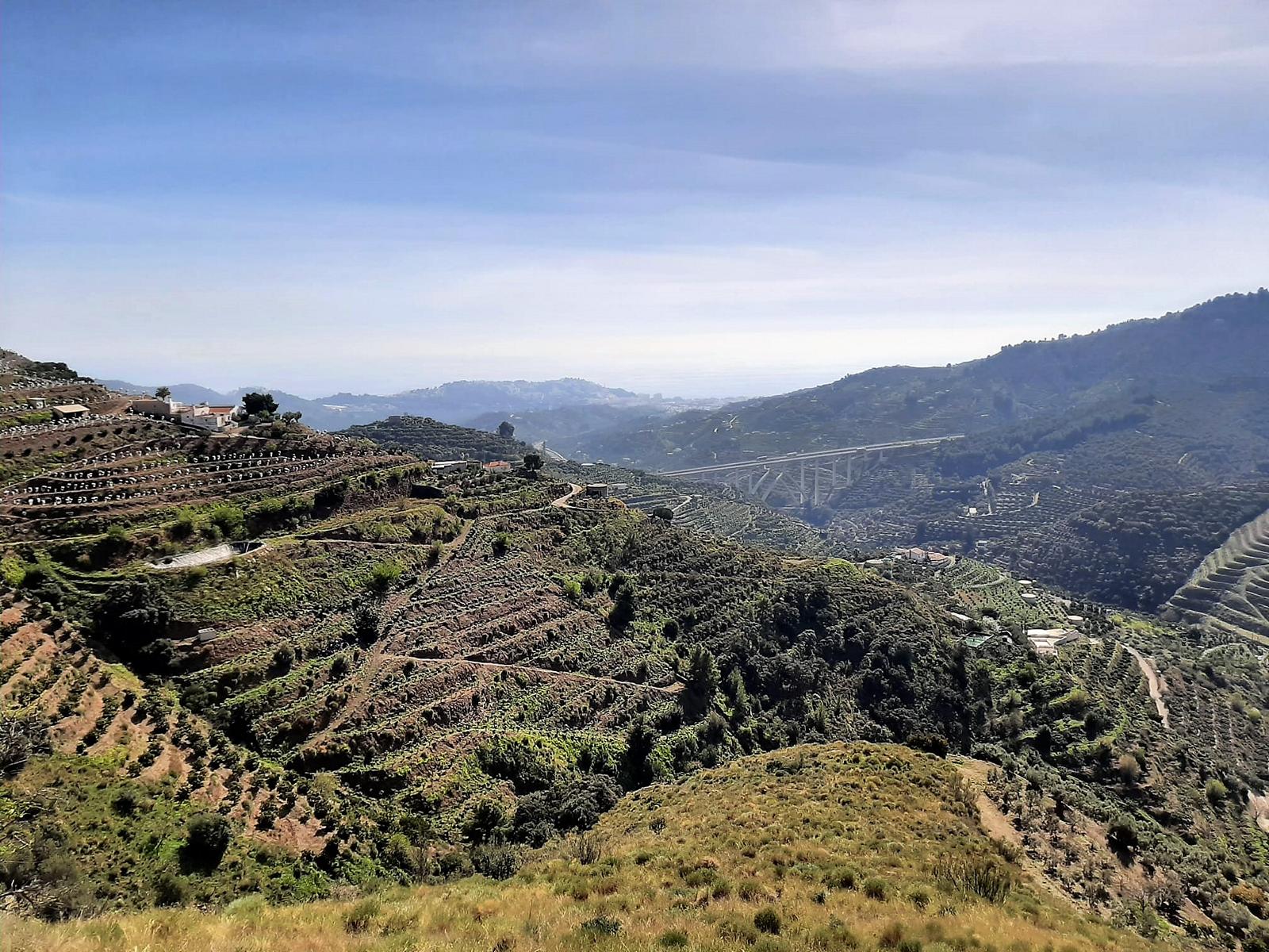 Plot of land , Almuñécar, Costa Tropical, Granada