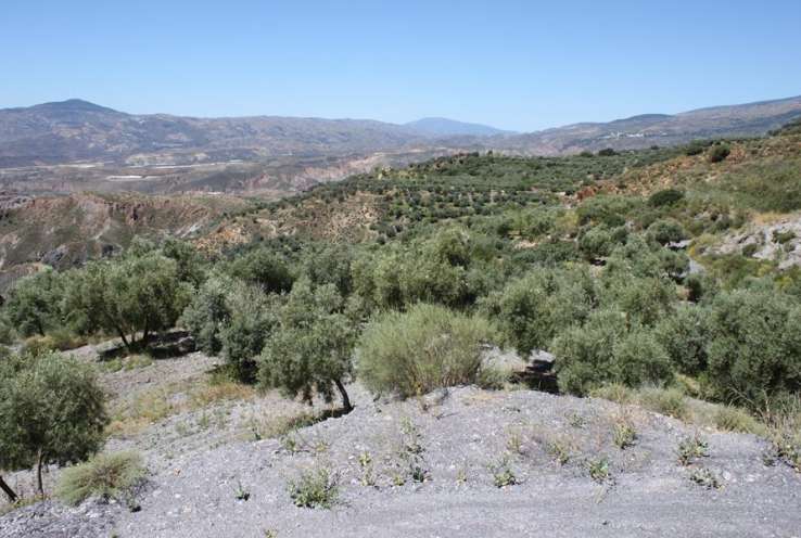Bodega Rural Sierra Nevada Granada